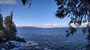 ./images/koeye/fitz-hugh/20260328/fitz-hugh20260328_111501M.jpg