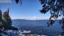 ./images/koeye/fitz-hugh/20260328/fitz-hugh20260328_113001M.jpg