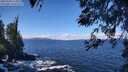 ./images/koeye/fitz-hugh/20260328/fitz-hugh20260328_113501M.jpg