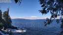 ./images/koeye/fitz-hugh/20260328/fitz-hugh20260328_114501M.jpg