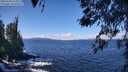 ./images/koeye/fitz-hugh/20260328/fitz-hugh20260328_115002M.jpg