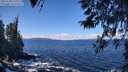 ./images/koeye/fitz-hugh/20260328/fitz-hugh20260328_115501M.jpg