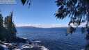 ./images/koeye/fitz-hugh/20260328/fitz-hugh20260328_120501M.jpg