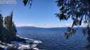 ./images/koeye/fitz-hugh/20260328/fitz-hugh20260328_121501M.jpg
