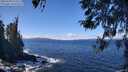 ./images/koeye/fitz-hugh/20260328/fitz-hugh20260328_122502M.jpg