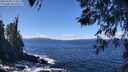 ./images/koeye/fitz-hugh/20260328/fitz-hugh20260328_123501M.jpg