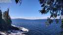 ./images/koeye/fitz-hugh/20260328/fitz-hugh20260328_124502M.jpg