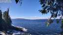 ./images/koeye/fitz-hugh/20260328/fitz-hugh20260328_125002M.jpg