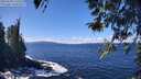 ./images/koeye/fitz-hugh/20260328/fitz-hugh20260328_125501M.jpg