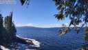 ./images/koeye/fitz-hugh/20260328/fitz-hugh20260328_130501M.jpg