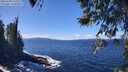./images/koeye/fitz-hugh/20260328/fitz-hugh20260328_131502M.jpg