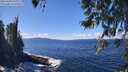 ./images/koeye/fitz-hugh/20260328/fitz-hugh20260328_133002M.jpg