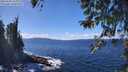 ./images/koeye/fitz-hugh/20260328/fitz-hugh20260328_134001M.jpg