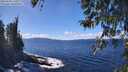 ./images/koeye/fitz-hugh/20260328/fitz-hugh20260328_135002M.jpg