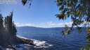 ./images/koeye/fitz-hugh/20260328/fitz-hugh20260328_135501M.jpg