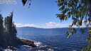 ./images/koeye/fitz-hugh/20260328/fitz-hugh20260328_140502M.jpg