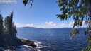 ./images/koeye/fitz-hugh/20260328/fitz-hugh20260328_141001M.jpg