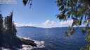 ./images/koeye/fitz-hugh/20260328/fitz-hugh20260328_143501M.jpg