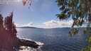 ./images/koeye/fitz-hugh/20260328/fitz-hugh20260328_151001M.jpg