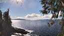 ./images/koeye/fitz-hugh/20260328/fitz-hugh20260328_154501M.jpg