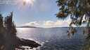./images/koeye/fitz-hugh/20260328/fitz-hugh20260328_155501M.jpg