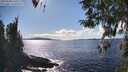./images/koeye/fitz-hugh/20260328/fitz-hugh20260328_160501M.jpg