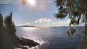 ./images/koeye/fitz-hugh/20260328/fitz-hugh20260328_162501M.jpg