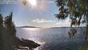 ./images/koeye/fitz-hugh/20260328/fitz-hugh20260328_163001M.jpg