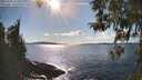 ./images/koeye/fitz-hugh/20260328/fitz-hugh20260328_163501M.jpg