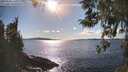 ./images/koeye/fitz-hugh/20260328/fitz-hugh20260328_164502M.jpg