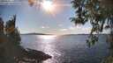 ./images/koeye/fitz-hugh/20260328/fitz-hugh20260328_165002M.jpg