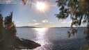 ./images/koeye/fitz-hugh/20260328/fitz-hugh20260328_170501M.jpg