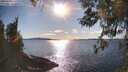 ./images/koeye/fitz-hugh/20260328/fitz-hugh20260328_171001M.jpg