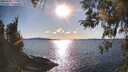./images/koeye/fitz-hugh/20260328/fitz-hugh20260328_172001M.jpg