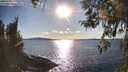 ./images/koeye/fitz-hugh/20260328/fitz-hugh20260328_172501M.jpg
