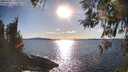 ./images/koeye/fitz-hugh/20260328/fitz-hugh20260328_173002M.jpg
