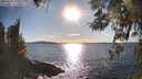 ./images/koeye/fitz-hugh/20260328/fitz-hugh20260328_173501M.jpg