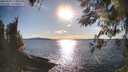 ./images/koeye/fitz-hugh/20260328/fitz-hugh20260328_174001M.jpg