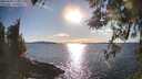 ./images/koeye/fitz-hugh/20260328/fitz-hugh20260328_174502M.jpg