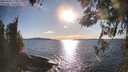 ./images/koeye/fitz-hugh/20260328/fitz-hugh20260328_175002M.jpg