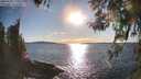 ./images/koeye/fitz-hugh/20260328/fitz-hugh20260328_175501M.jpg