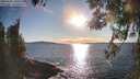 ./images/koeye/fitz-hugh/20260328/fitz-hugh20260328_180501M.jpg
