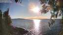 ./images/koeye/fitz-hugh/20260328/fitz-hugh20260328_181001M.jpg