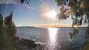 ./images/koeye/fitz-hugh/20260328/fitz-hugh20260328_181502M.jpg