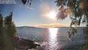 ./images/koeye/fitz-hugh/20260328/fitz-hugh20260328_182001M.jpg