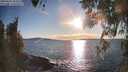 ./images/koeye/fitz-hugh/20260328/fitz-hugh20260328_182501M.jpg