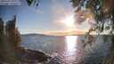 ./images/koeye/fitz-hugh/20260328/fitz-hugh20260328_183001M.jpg