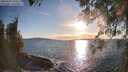./images/koeye/fitz-hugh/20260328/fitz-hugh20260328_183501M.jpg
