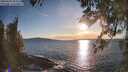 ./images/koeye/fitz-hugh/20260328/fitz-hugh20260328_184502M.jpg