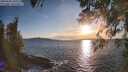 ./images/koeye/fitz-hugh/20260328/fitz-hugh20260328_185501M.jpg
